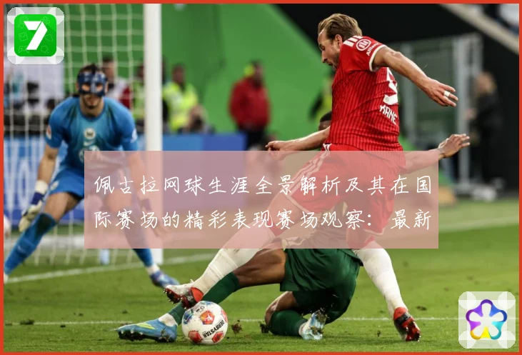 佩古拉网球生涯全景解析及其在国际赛场的精彩表现赛场观察：最新赛事动态与深度分析